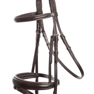 bridle