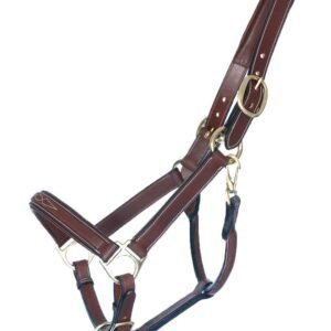win this french leather halter & matching lead by arion europe msrp $249