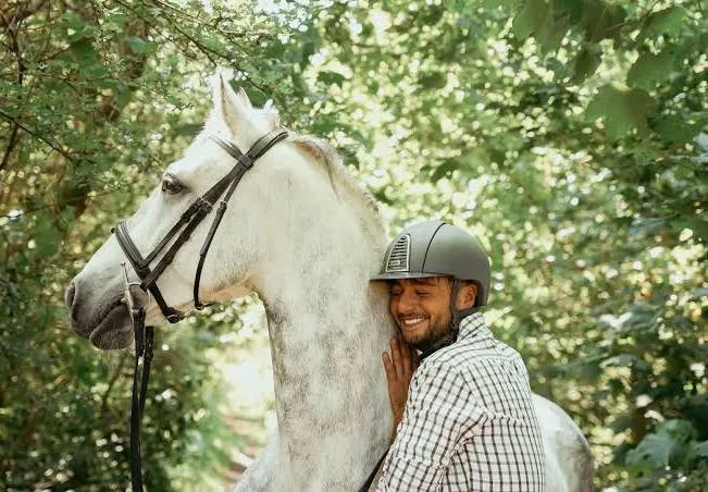 t1 - Horses / Equestrian products for sale